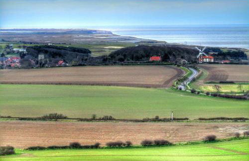 Evergreen - Photo 59