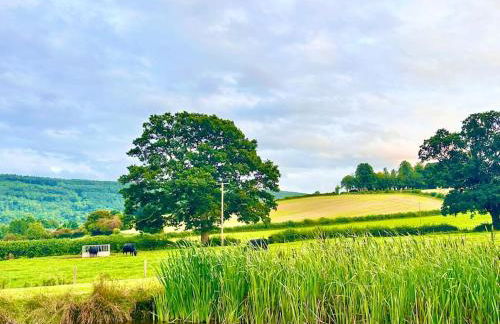 Fox Acre Lodge - Amazing Views - Foto 37