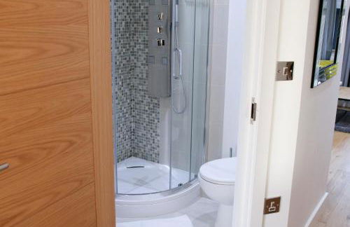 Deluxe and Modern Studio Apartment in Sydenham - Foto 19