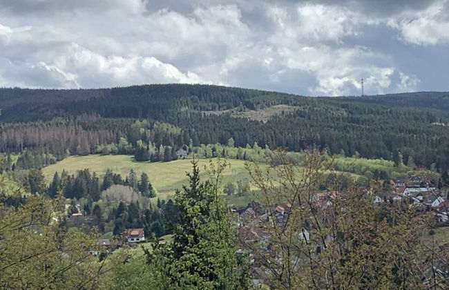 Holiday Home Harzhaus Time out - Photo 44