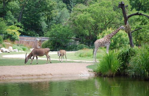 Appt T3, 55m2 proche Parc Tête D'or et quais du Rhône - Foto 17