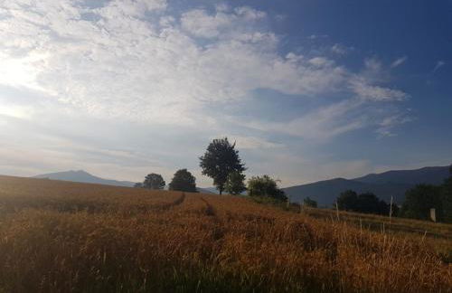 Ferienhof Altmann - Foto 28