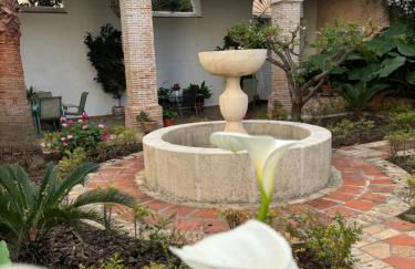 Garden Suites Xativa Casa Rural - Foto 7