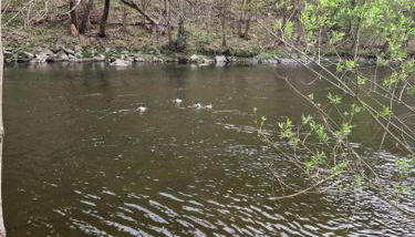 Ferienhaus Reschwitzer Auszeit - Foto 3