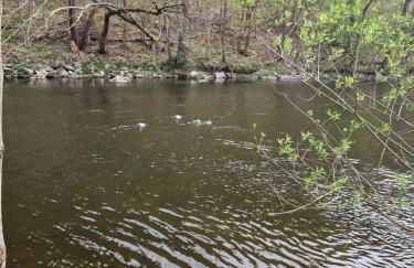 Ferienhaus Reschwitzer Auszeit - Foto 3