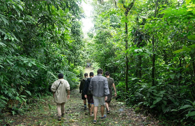 Oski Lodge - Foto 46