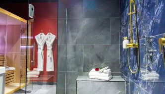 La Suite des Rêves - Les Bonn'apparts-Sur-Seine - Foto 5, towels, Shower