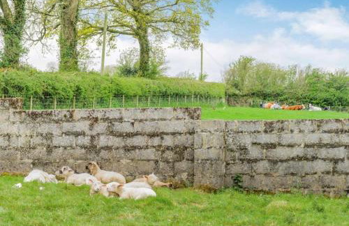 4 Bed in Cardigan oc-82766 - Photo 19