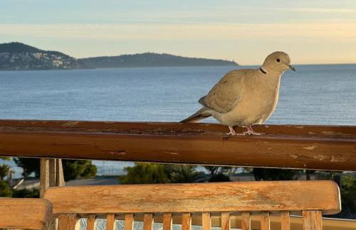 NICE, Exceptional Sea View, Top Floor, Parking - Photo 27