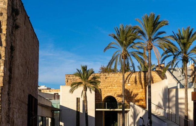 Ultimate Palma Tour: Historic Highlights Palaces, Gardens & Cathedral Tour - Foto 7
