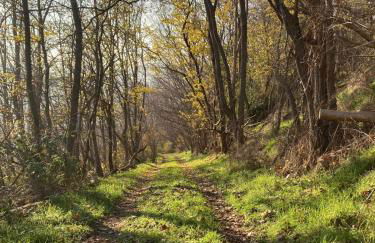 Casa Vacanza Bel Respiro - Foto 42