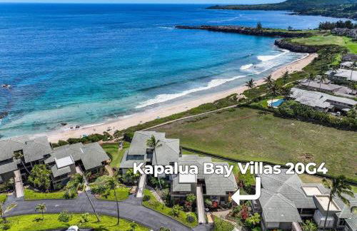Kapalua Bay Villas 20G4 · KBV 20G4 Updated OceanFront for Whale - Foto 5