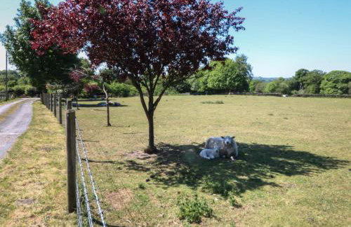 The White Cloud Bus - Foto 15