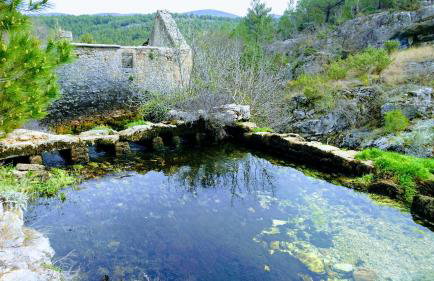 Apartmani Jasmin - Photo 52