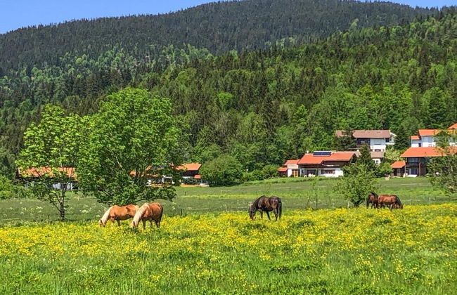 Chalet Chiemgau, Inzell - Photo 24