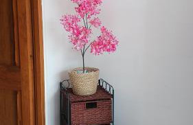 Maisonnette avec jardin - Foto 42