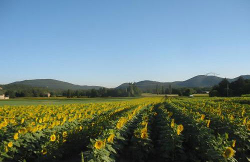 Appartement 3 Avec Deux Chambres - Foto 13