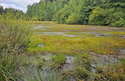 Großes neues Appartement Mein Burgwaldtraum - Foto 38