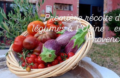 L'Usine en Provence - Foto 77