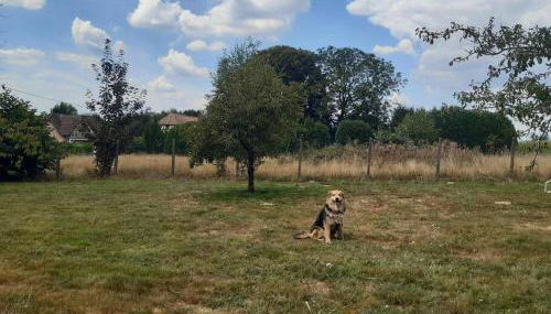 Gîte de la P'tite Rainette - Foto 2