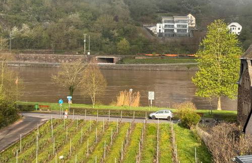 Hakans moselblick Ferienwohnung 2 - Foto 36