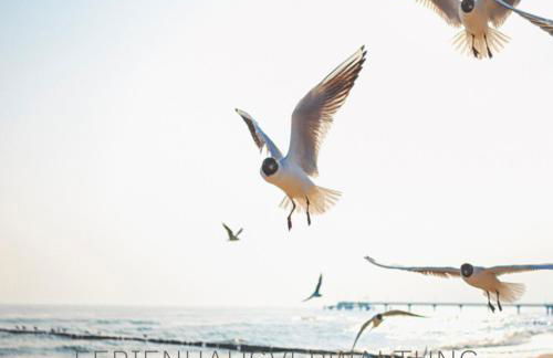 Strandgaard - Foto 24