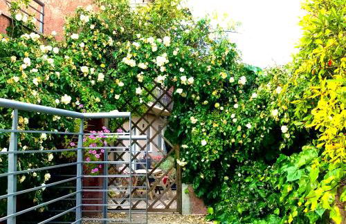 Villa Maria Apartments - Foto 61