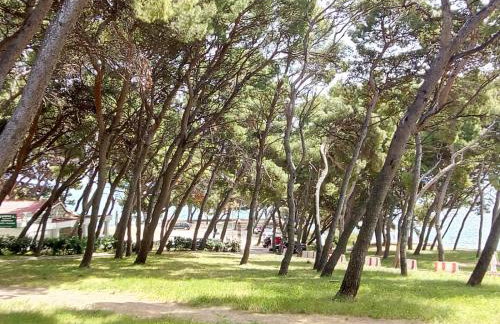 Sunshower apartment and studio - Photo 27