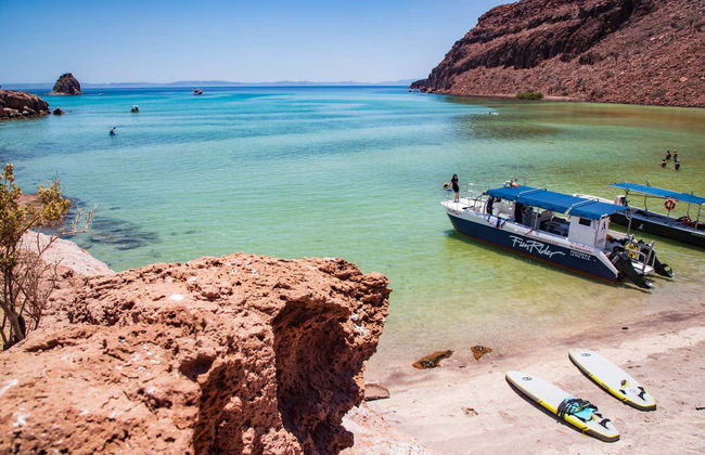 Excursion sur l'île d'Espiritu Santo - Photo 7