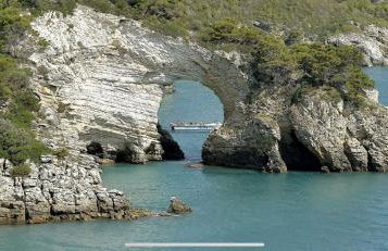 Villa Pineta - Foto 44