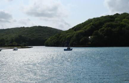 Bosons Bunks 'As seen in Beyond Paradise ' - Foto 7