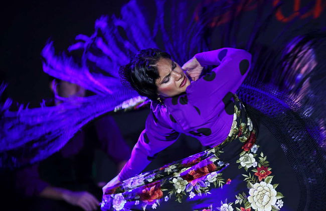 Espectáculo flamenco en el tablao Alma - Foto 14