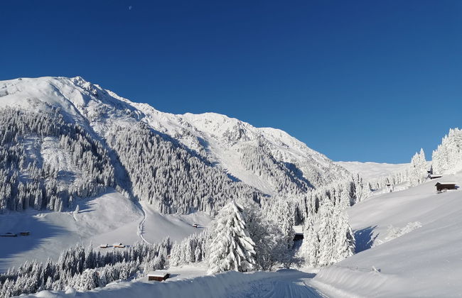 Reichegger - Foto 67