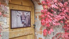 Il Fienile - Photo 1