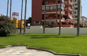 Atlantico Flamingo - Photo 34