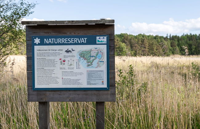 Harge Sörgård - Foto 46