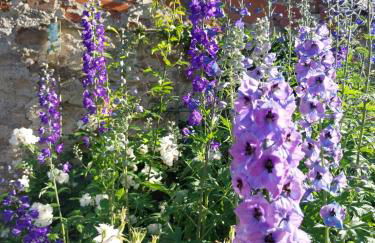 Beautiful 2 bed cottage with swimming pool - Foto 33