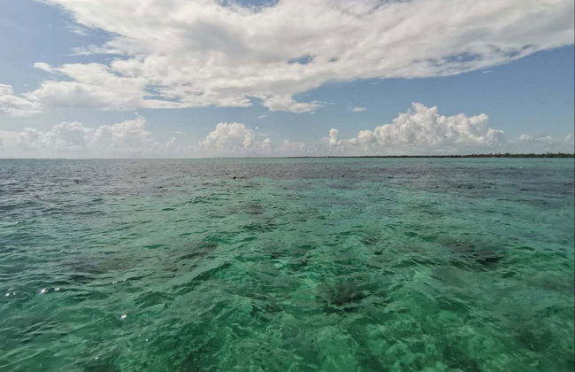 Xcalak Snorkeling Tour - Foto 3