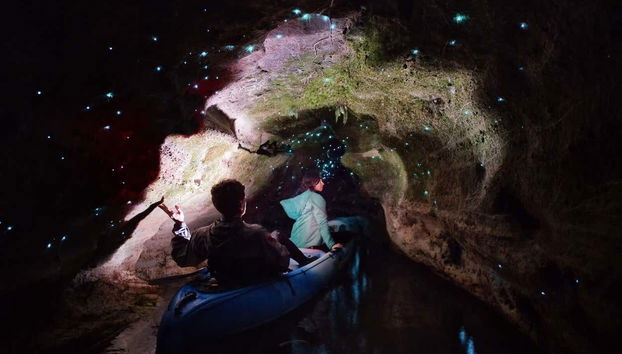 Vivez une expérience magique