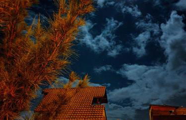 Cabana Rústica Praia do Sonho - Foto 31