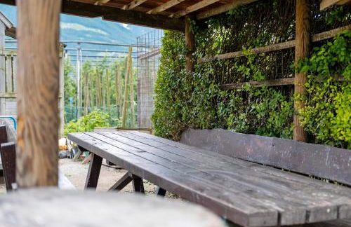 Bauernhof Sackgut - Foto 14