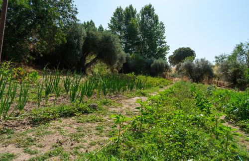 Hamlet's Friends - Foto 117