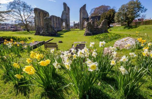 1 Bed in Queen Camel oc-c30506 - Photo 12