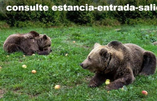 zentral club voltio-jacuzzi - Foto 29