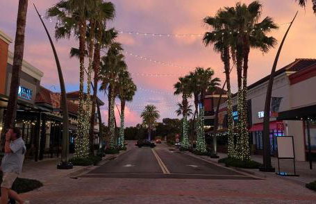 Modern 3 Bedroom, Wesley Chapel! - Foto 45