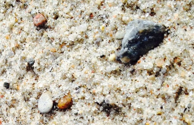 Lasse Comfortable Holiday Residence - Foto 11