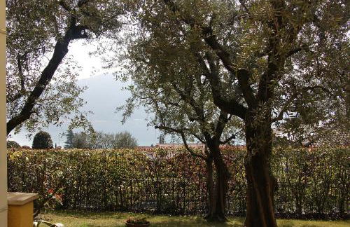 Sarnico giardino sul lago - Foto 6