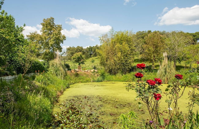 Farmhouse Dreams: Explore and Relax - Foto 30