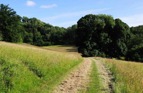 Owlpen Manor Cottages - Foto 36