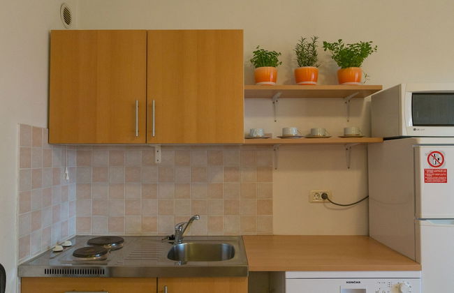 Apartment 21 - Photo 9